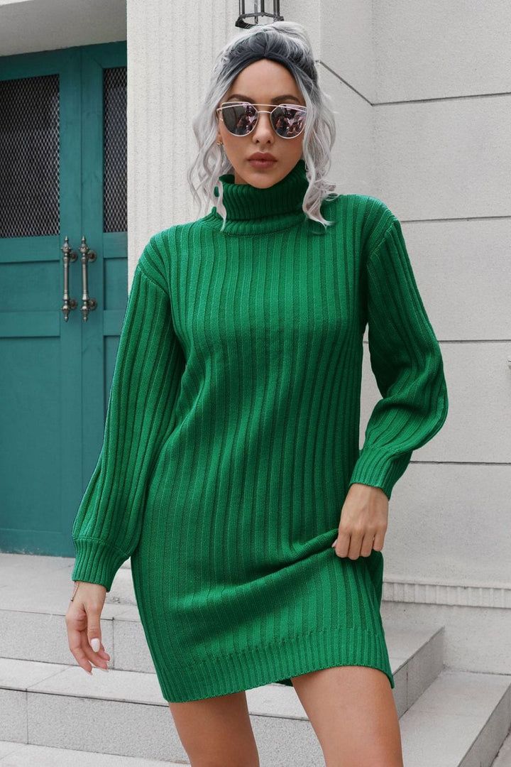 Ribbed Turtle Neck Long Sleeve Mini Sweater Dress - Runway Frenzy 